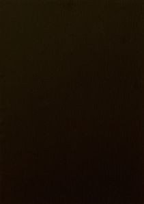 RENOLIT EXOFOL PX BLACK BROWN 8518 